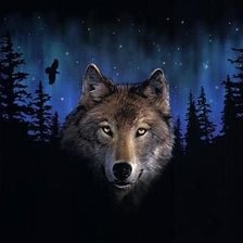 Оригинал схемы вышивки «Волк» (№362760)