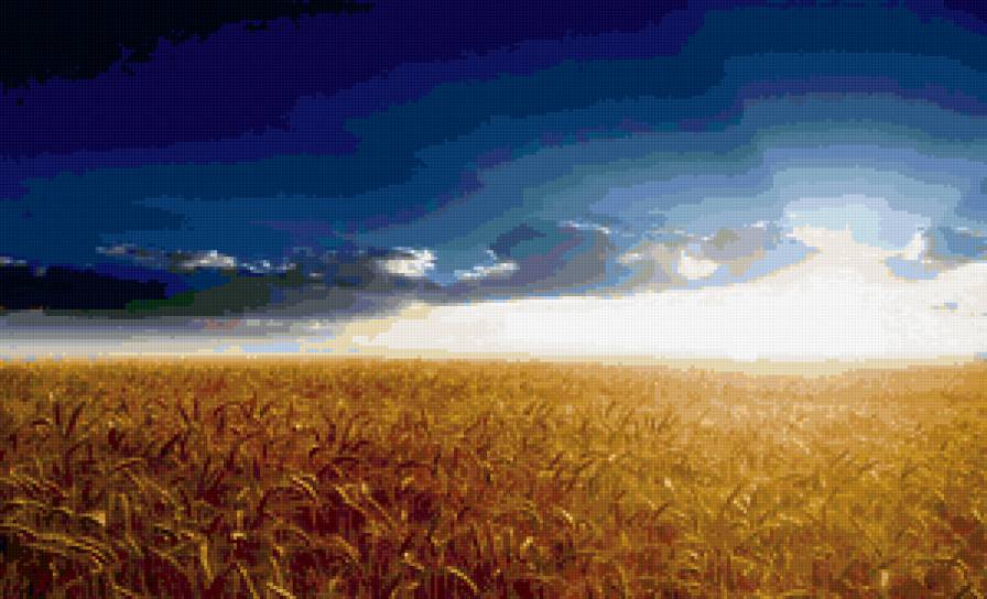 поле - нива, хлеб, восход, солнеце, природа.небо - предпросмотр