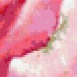 Предпросмотр схемы вышивки «Натюрморт, цветы, розы» (№364074)