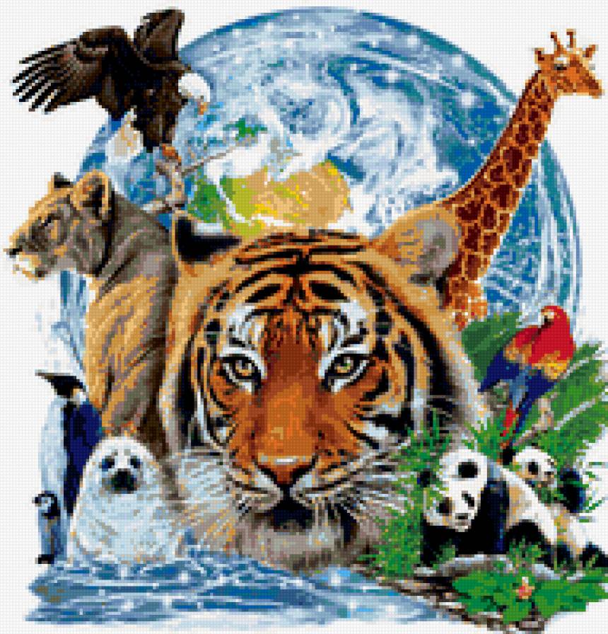 животные и птицы - тигр, природа, панда, орел, попугай, жираф - предпросмотр