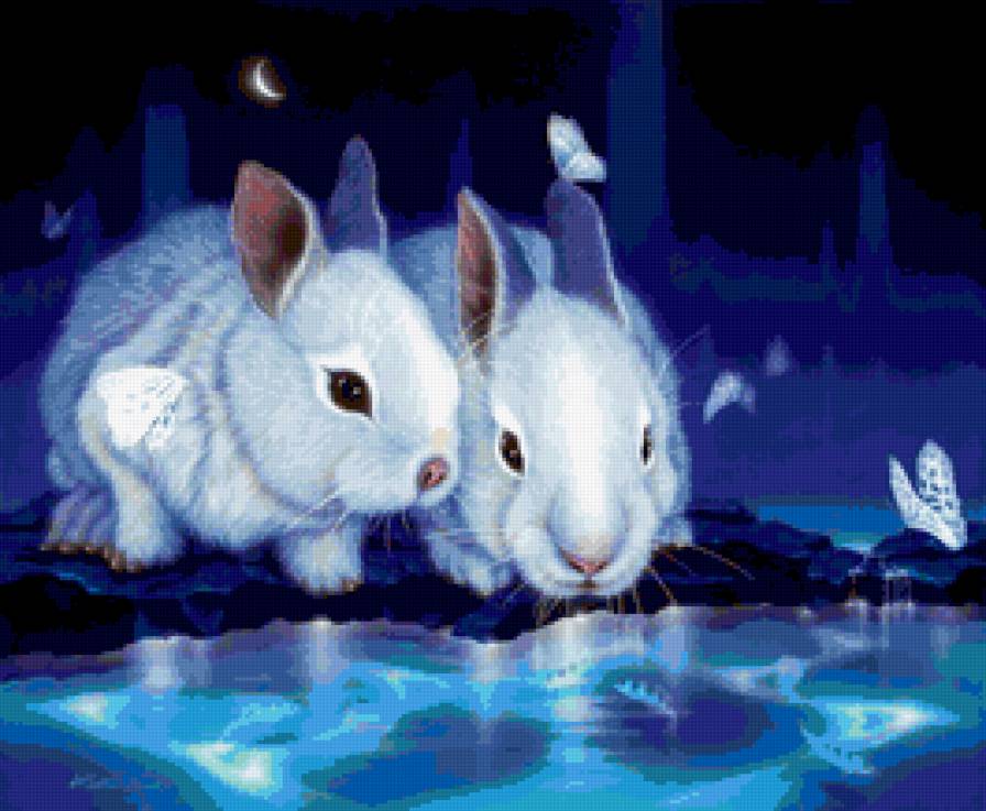 кролики - синий, кролики, северное сияние - предпросмотр