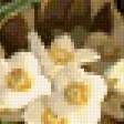 Предпросмотр схемы вышивки «цветы» (№364312)