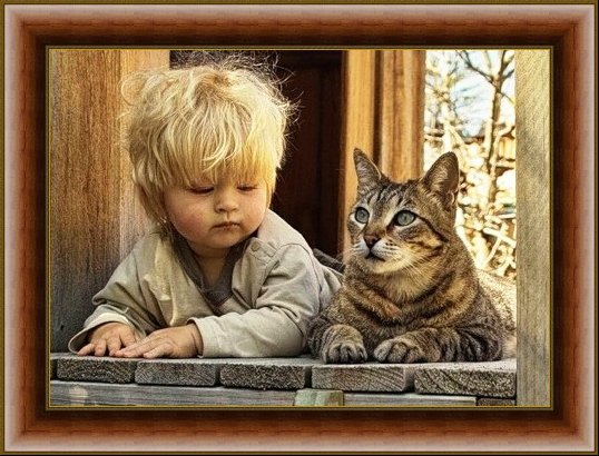мальчик и кот - кот - оригинал