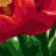 Предпросмотр схемы вышивки «тюльпаны в вазе» (№365197)
