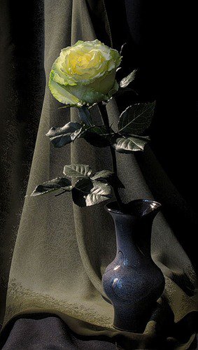 №365549 - натюрморт, букет, роза, цветы - оригинал