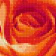 Предпросмотр схемы вышивки «триптих розы» (№365832)