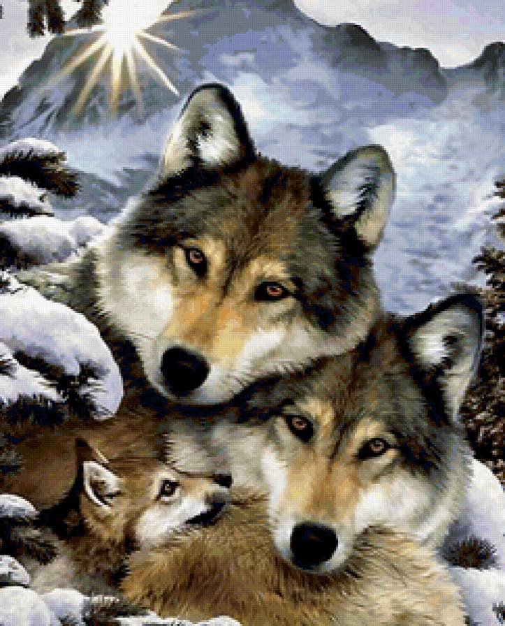 семья - семья, волки, животные - оригинал