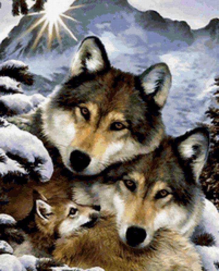 семья - волки, животные, семья - предпросмотр