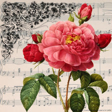 Оригинал схемы вышивки «роза» (№366066)