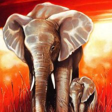 Оригинал схемы вышивки «Африканские слоны» (№366623)