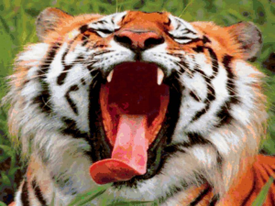 тигр - животные, кошки - предпросмотр