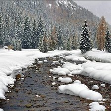 Схема вышивки «№367914»