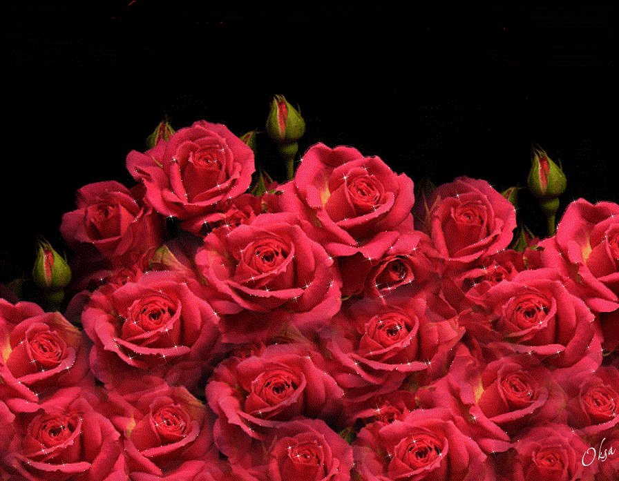 Анимация Поздравление С Днем Розы