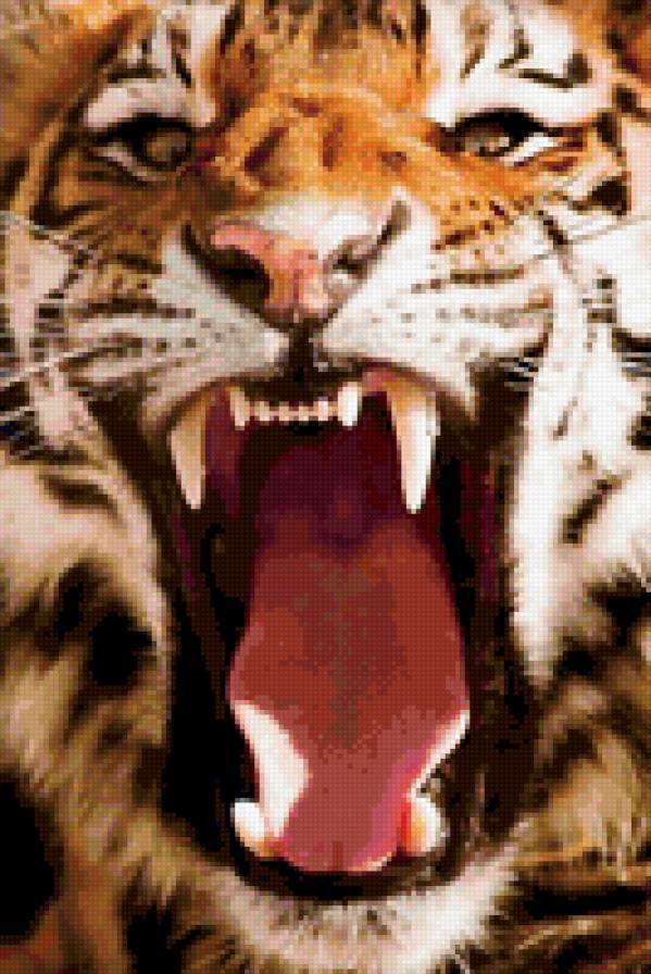 ТигрЪ - хищьники, звери - предпросмотр