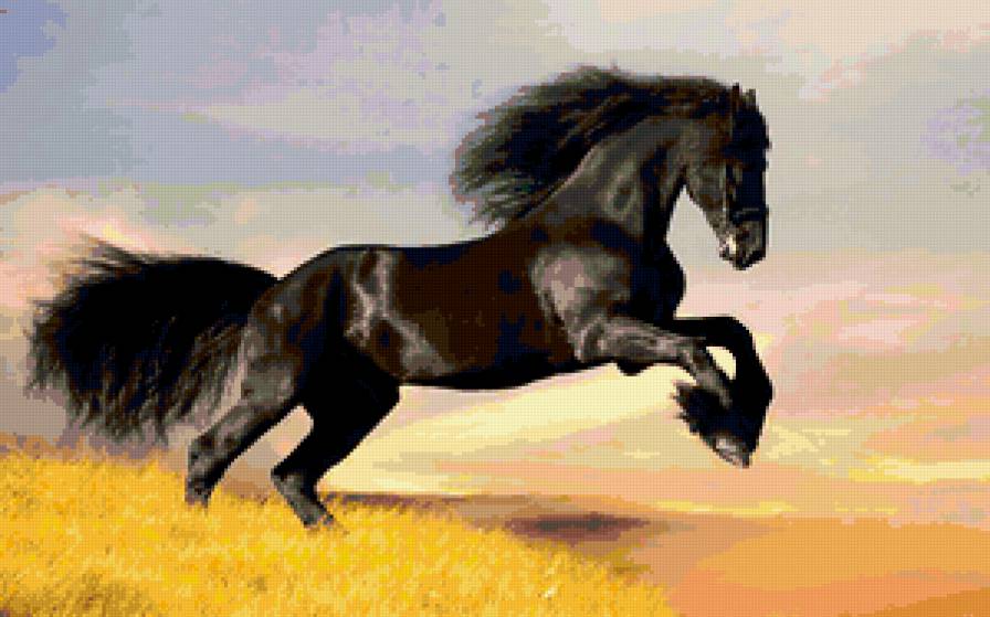 Арабский скакун - лошади - предпросмотр