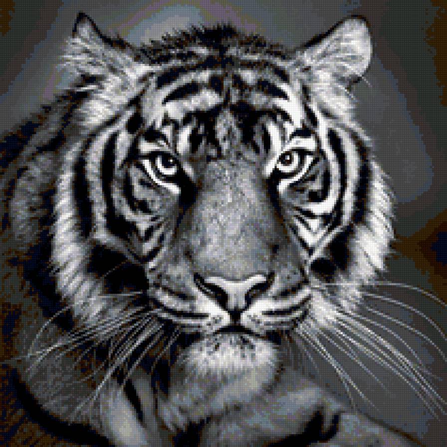 Тигр - черно-белое - предпросмотр