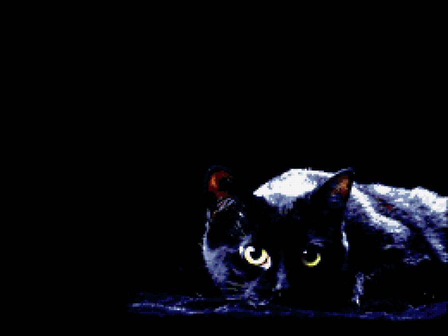 Чёрная кошка - черный фон - предпросмотр