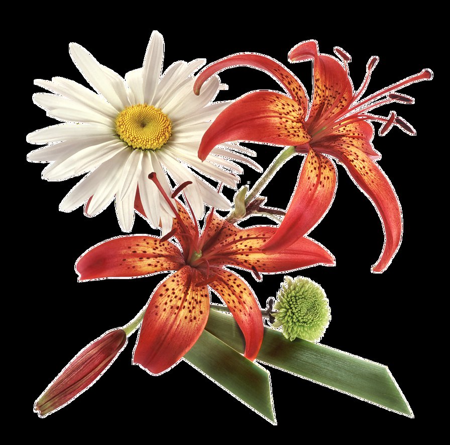 №369572 - цветы, ромашка, лилии, подушка - оригинал