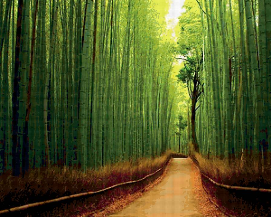 Дорога - зелень, лес, дорога - предпросмотр
