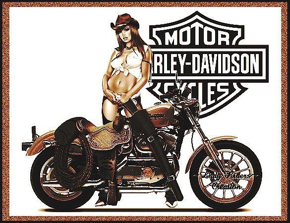 Harley-Davidson. - мотоцикл, девидсон, мото, байк, харлей - оригинал