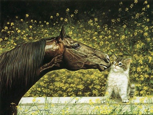 котенок и лошадь - оригинал