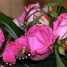 Оригинал схемы вышивки «розы и бабочка» (№371304)