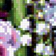 Предпросмотр схемы вышивки «Лиловые цветы» (№371488)