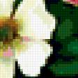 Предпросмотр схемы вышивки «Цветы» (№371494)