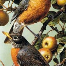 Оригинал схемы вышивки «птицы на яблоне» (№372837)