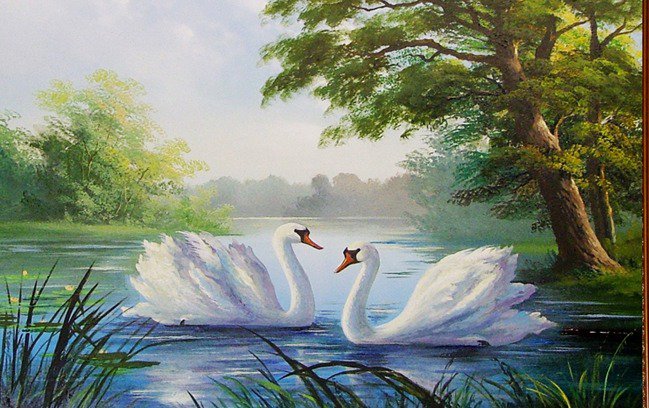 лебеди на озере - оригинал