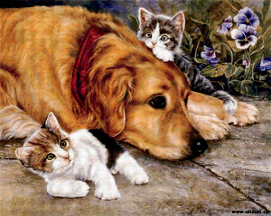 друзья - друзья, котята, картина, животные, собака - предпросмотр