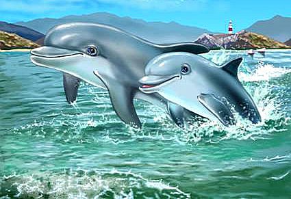 Дельфины - море, дельфины, животные - оригинал