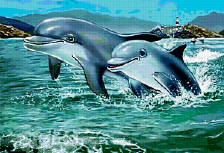 Дельфины - животные, дельфины, море - предпросмотр