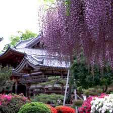 Оригинал схемы вышивки «Японський сад» (№375356)