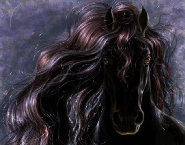 Фризская лошадь - лошадь, фриз, черная лошадь, голова лошади - оригинал