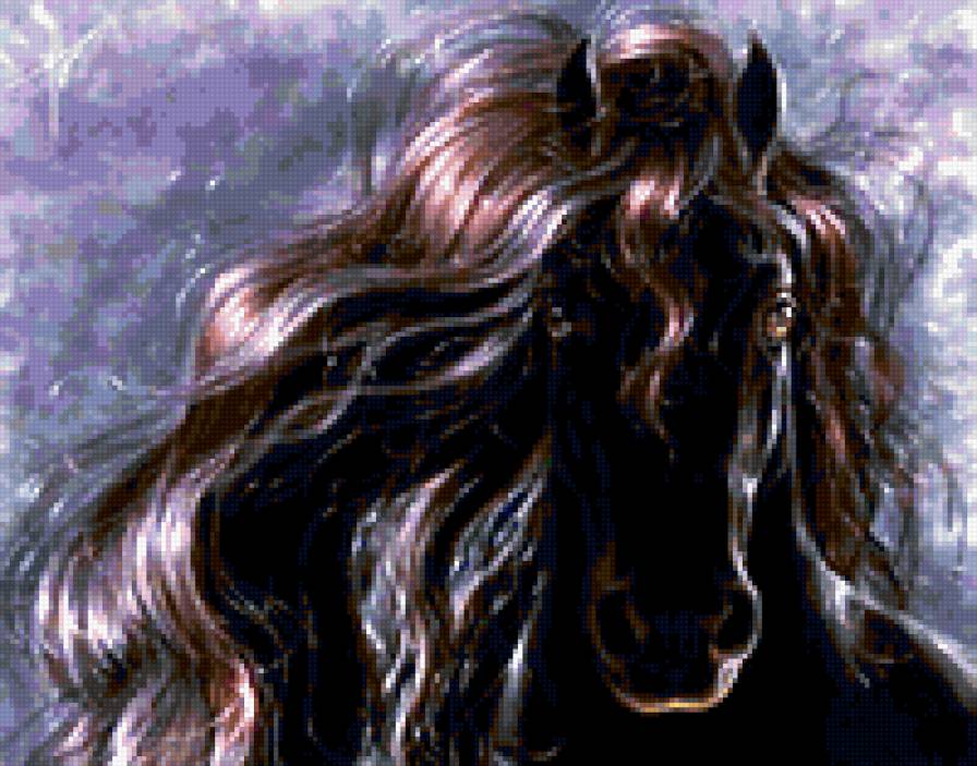 Фризская лошадь - голова лошади, черная лошадь, лошадь, фриз - предпросмотр