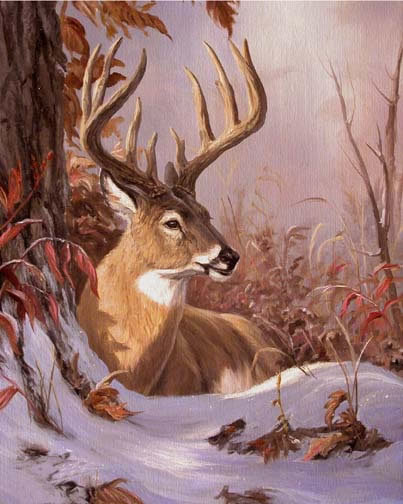 0106 - красота, животные, зима, олень, лес, природа, картина - оригинал