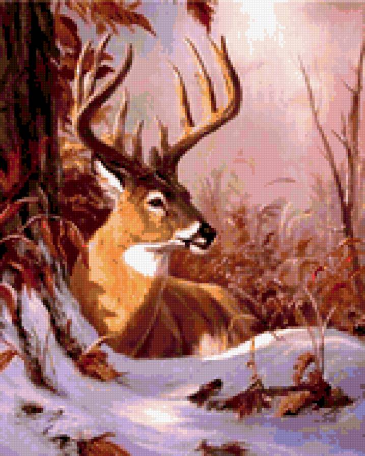 0106 - животные, олень, природа, красота, картина, зима, лес - предпросмотр