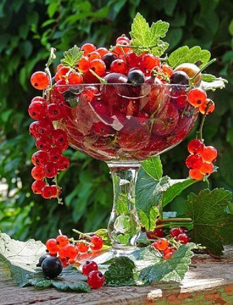 ягоды - натюрморт, ягоды, ваза, для кухни, панно - оригинал