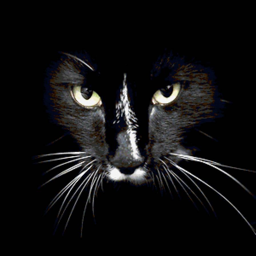 Портрет "Друга" - кошки, животные, пантера - предпросмотр
