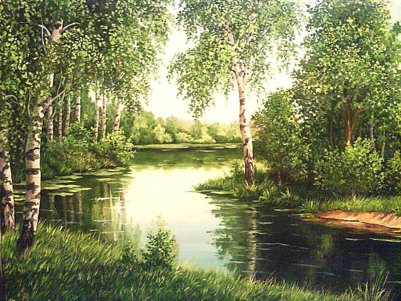 Лесная речка - пейзаж, речка, березы - оригинал