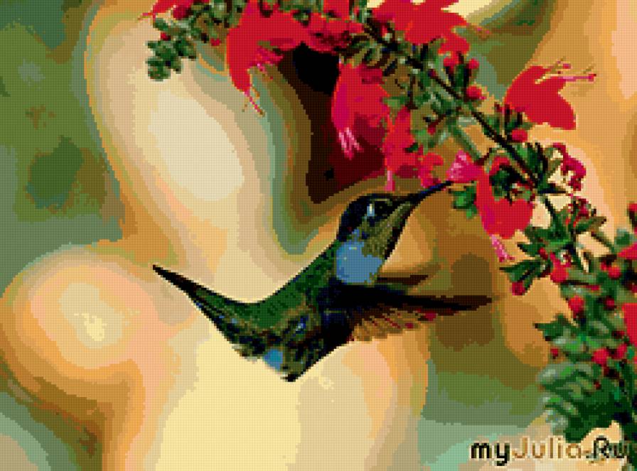 колибри - райские птицы, цветы, птицы, колибри, природа - предпросмотр