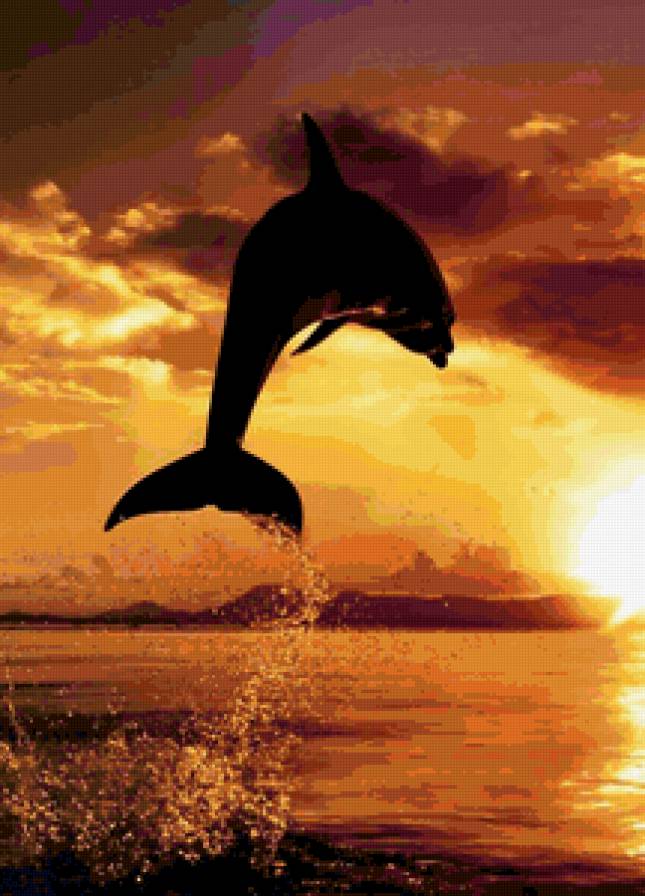 дельфин - морская тема - предпросмотр