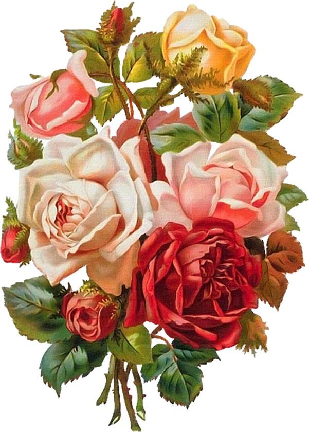 Натюрморт, цветы, розы - цветы, натюрморт, розы - оригинал