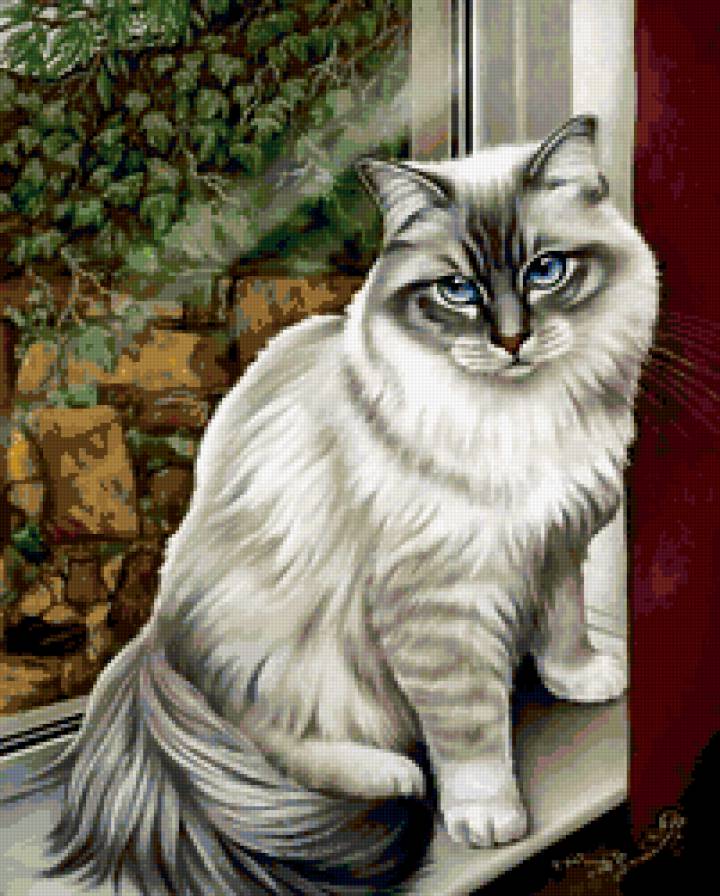 Кот И. Гармашевой - кот окно - предпросмотр