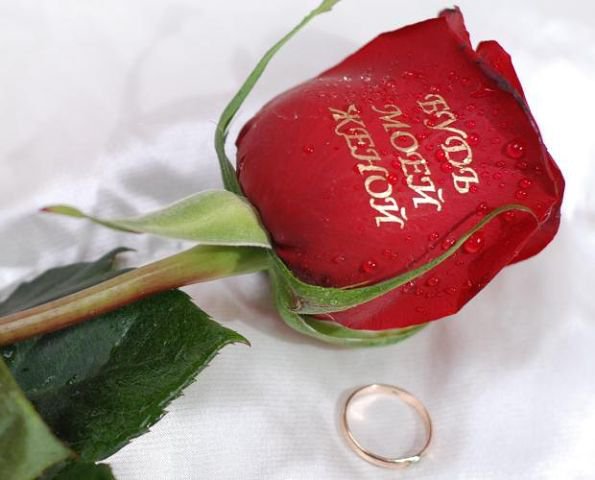 роза и кольцо - цветы, кольцо, свадьба, роза - оригинал