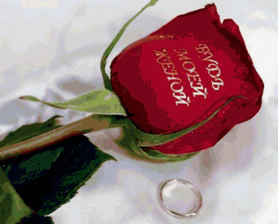 роза и кольцо - цветы, свадьба, роза, кольцо - предпросмотр