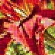Предпросмотр схемы вышивки «Натюрморт, цветы, вино, еда» (№378169)
