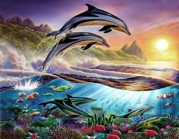 дельфины - море, природа, дельфин, солнце, подводный мир, горы - оригинал