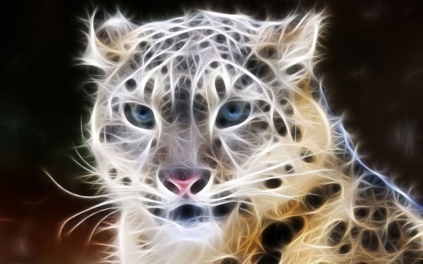 леопард - кошка, зверь, глаза, хищник, леопард - оригинал